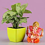 Syngonium Plant & Lord Ganesha Idol
