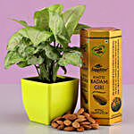 Syngonium Plant & Roasted Badam