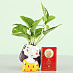 Free Gold Plated Coin With Money Plant