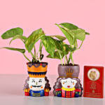 Money Plant Set & Free Gold Plated Coin