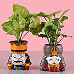 Syngonium Plant Set & Free Gold Plated Coin