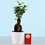 Free Gold Plated Coin With Ginseng Bonsai