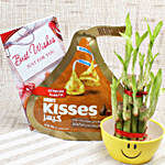 2 Layer Lucky Bamboo & Hershey's Kisses