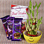 Best Wishes With Lucky Bamboo