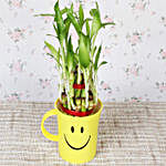 Two Layer Bamboo Plant & Sorry Card