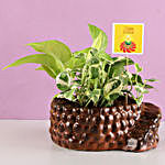 Foliage Plants in Ceramic Stairs Pot For Diwali