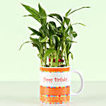 Personalised Birthday Wishes Bamboo Plant