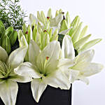 Box Of Elegant White Asiatic Lilies