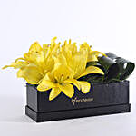 Box Of Yellow Asiatic Lilies