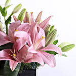 Delicate Pink Asiatic Lilies
