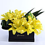 Asiatic Yellow Lilies FNP Box Arrangement