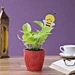 honey bee tag golden money plant in red pot
