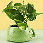 Money Plant In Green Smiley Mug
