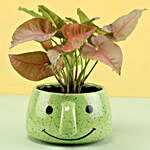 Pink Syngonium Plant In Smiley Mug