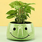 Syngonium Plant In Smiley Pot