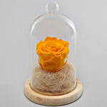 Sunny Yellow Forever Rose in Glass Dome