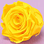 Yellow Forever Rose & Cadbury Party Pack