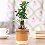 Ficus Bonsai Plant in Haiti Mocha Brown Ceramic Tumbler