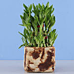 3 Layer Bamboo Plant In CB Stone Pot