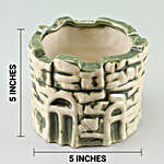 Snakeskin Sansevieria In Ceramic Green Pot