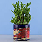 3 Layer Bamboo Plant In Blue Pink Pot