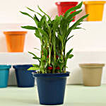 3 Layer Bamboo Plant In Blue Metal Pot