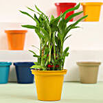 3 Layer Bamboo Plant In Yellow Metal Pot
