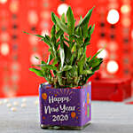 New Year's Special 2 Layer Bamboo Plant
