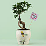 Ficus Bonsai in Think Green Go Pot For Anniversary