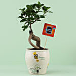 Ficus Bonsai in Think Green Go Pot For Birthday