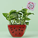 Money Plant in Watermelon Slice Pot For Anniversary