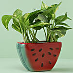 Money Plant in Watermelon Slice Pot For Anniversary