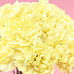 Sunny 15 Yellow Carnations Vase