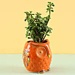 Jade Plant in Hand Painted Planter