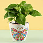 Money Plant in Hand Painted Butterfly Planter