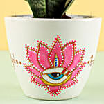 Sansevieria Plant in Hand Painted Planter