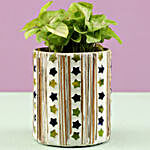 Syngonium Plant In Mosaic Art Pot & Votive Holder