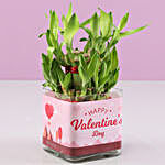 Valentine'e Greetings 2 Layer Bamboo Plant