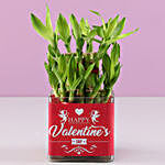 Valentine's Day Greetings Lucky Bamboo