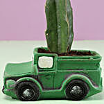 Moon Cactus In Green Pot