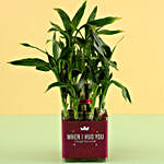 2 Layer Bamboo Plant For Hug Day