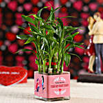 2 Layer Bamboo Plant For Propose Day