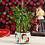 2 Layer Bamboo Plant For Rose Day