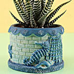 Howarthia Zebra Blue Ceramic Pot