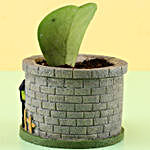 Hoya Plant In Ceramic Grey Pot
