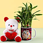 2 Layer Lucky Bamboo Plant & Teddy Bear
