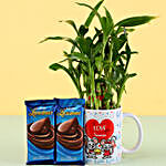 Chocolate Day 2 Layer Lucky Bamboo Plant