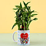 Chocolate Day 2 Layer Lucky Bamboo Plant