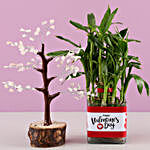 Rose Quartz Wish Tree & Bamboo Plant
