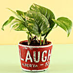 Red Pot of Money Plant